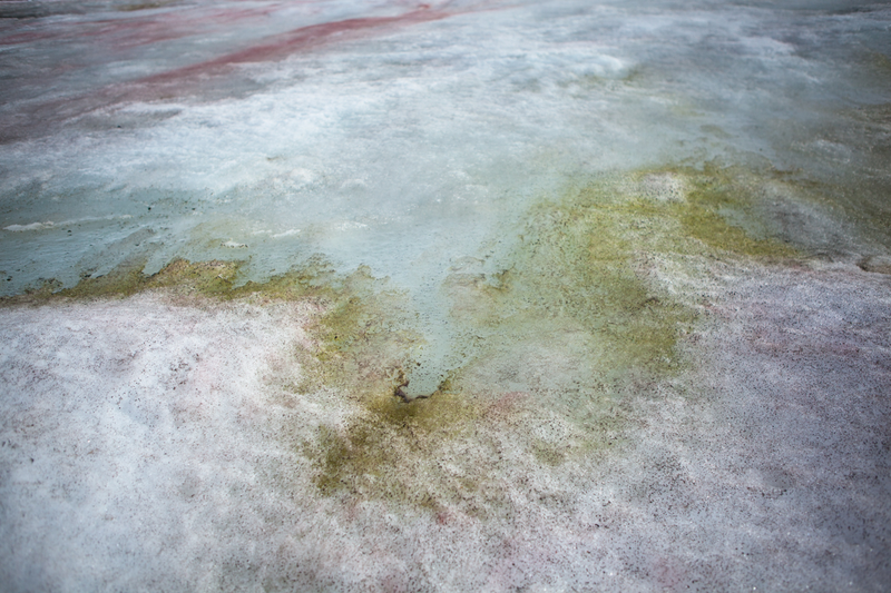 Illustration for article titled Antarctica is actually an amazingly colorful place